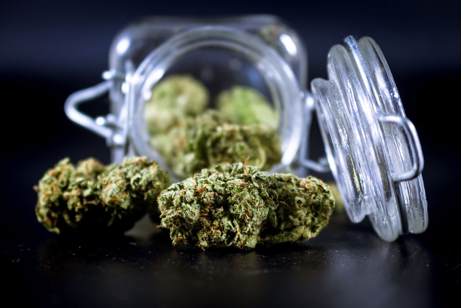 Flores de CBD: qué son y la trampa legal del aroma